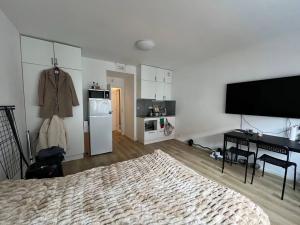 Pronájem bytu 1+kk, Praha - Vršovice, Pod soutratím, 27 m2