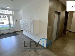 Pronájem bytu 2+kk, Olomouc, Eduarda Hamburgera, 61 m2