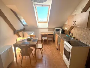 Pronájem bytu 1+1, Plzeň, Klostermannova, 50 m2