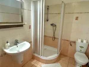 Pronájem bytu 1+1, Plzeň, Klostermannova, 50 m2