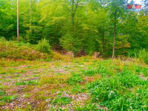 Prodej pozemku pro bydlení, Buš, 3127 m2