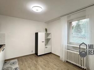 Pronájem bytu 1+1, Hrádek nad Nisou, Liberecká, 46 m2