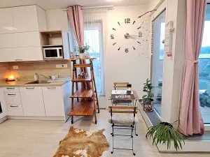 Pronájem bytu 1+kk, Brno, Kyselkova, 35 m2
