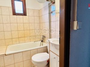 Prodej chaty, Dobronice u Bechyně, 40 m2