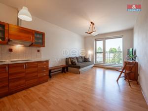 Prodej bytu 2+kk, Neveklov, náměstí Jana Heřmana, 47 m2