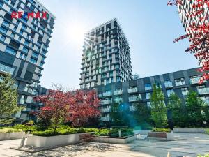 Prodej bytu 1+kk, Praha - Žižkov, Olšanská, 35 m2