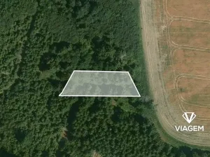 Prodej podílu lesa, Řendějov, 1292 m2
