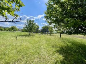 Prodej zahrady, Hroznová Lhota, 4104 m2