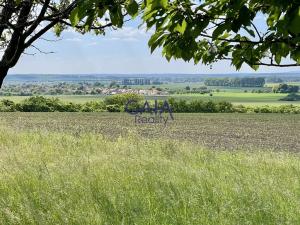 Prodej zahrady, Hroznová Lhota, 4104 m2