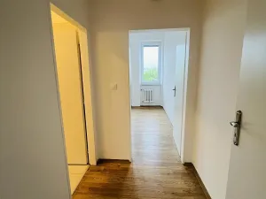 Pronájem bytu 2+kk, Dolany, 54 m2