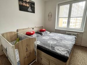 Pronájem bytu 3+1, Karviná, Žižkova, 63 m2