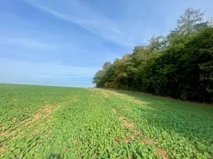 Prodej pole, Praha, Na Padesátníku I, 24066 m2