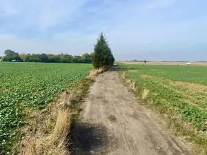 Prodej pole, Praha, Na Padesátníku I, 24066 m2