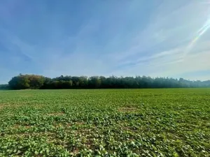 Prodej pole, Praha, Na Padesátníku I, 24066 m2