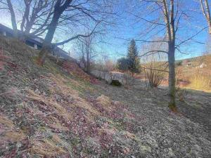 Prodej pozemku, Železná Ruda - Špičák, 241 m2