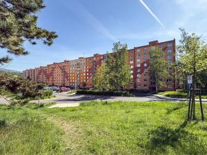 Prodej bytu 1+1, Jirkov, SNP, 35 m2