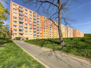 Prodej bytu 1+1, Jirkov, SNP, 35 m2