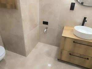 Prodej bytu 2+kk, Ostrava, Francouzská, 53 m2