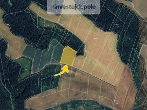 Prodej louky, Vysoká - Strážnice, 10931 m2