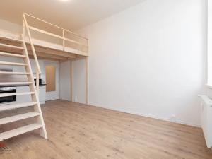 Pronájem bytu 1+kk, Ostrava, Palackého, 29 m2