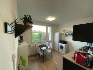 Pronájem bytu 1+1, Plzeň, Kralovická, 38 m2