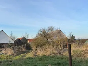 Prodej podílu lesa, Čistá, 878 m2