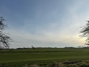 Prodej podílu lesa, Čistá, 878 m2