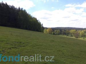 Prodej pozemku, Číměř - Dobrá Voda, 9015 m2