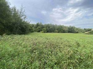 Prodej pozemku, Písečné - Slavětín, 4446 m2