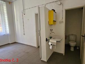 Pronájem obchodního prostoru, Brno, Hybešova, 131 m2