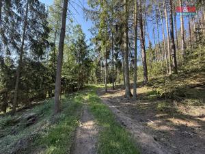 Prodej lesa, Milešov, 23184 m2