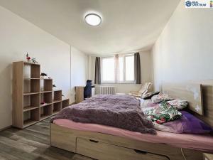Pronájem bytu 1+1, Hradec Králové, Selicharova, 40 m2