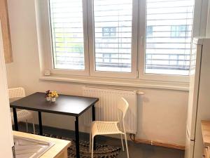 Pronájem bytu 1+1, České Budějovice - České Budějovice 3, Opatovická, 32 m2