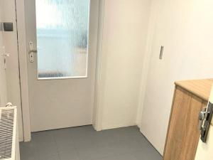 Pronájem bytu 1+1, České Budějovice - České Budějovice 3, Opatovická, 32 m2