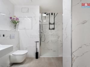 Prodej bytu 2+kk, Teplice, Novoveská, 51 m2