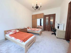 Pronájem bytu 2+1, Brno, Bezručova, 100 m2