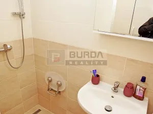 Pronájem bytu 1+1, Neratovice, 28 m2