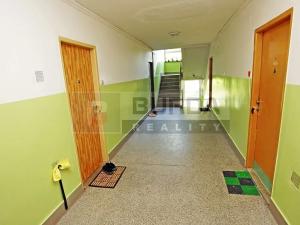 Pronájem bytu 1+1, Neratovice, 28 m2