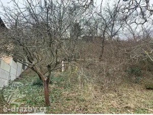 Dražba zahrady, Brno, 828 m2