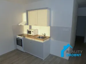 Pronájem bytu 2+1, Děčín, Sokolská, 47 m2