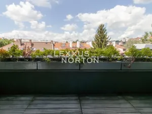 Pronájem bytu 5+kk, Praha - Dejvice, Koulova, 192 m2