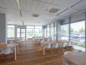 Pronájem výrobních prostor, Ostrava, Na Rovince, 3026 m2