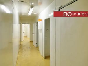 Pronájem skladu, Brno, 280 m2