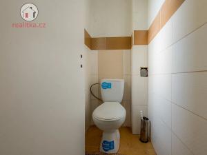 Prodej rodinného domu, Štětí, 140 m2