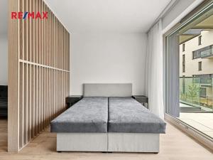 Pronájem bytu 1+kk, Praha - Žižkov, Malešická, 47 m2