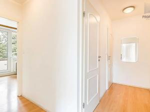 Prodej bytu 2+1, Brno, Luční, 54 m2
