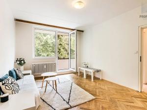 Prodej bytu 2+1, Brno, Luční, 54 m2