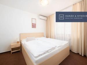 Pronájem bytu 1+1, Brno, Anenská, 25 m2