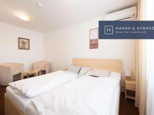 Pronájem bytu 1+1, Brno, Anenská, 25 m2