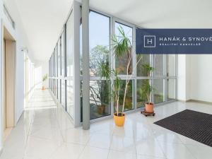 Pronájem bytu 1+1, Brno, Anenská, 25 m2